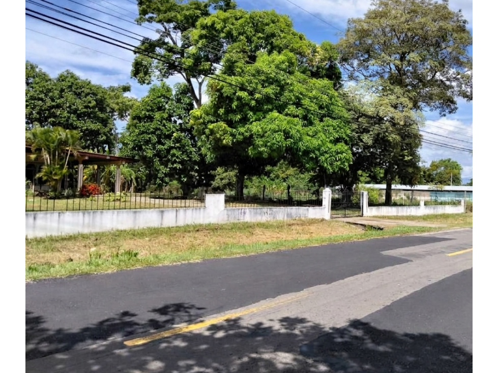SE VENDE TERRENO 6035 M2 EN COCLE CHURUBE SOBRE VIA ASFALTADA - 1