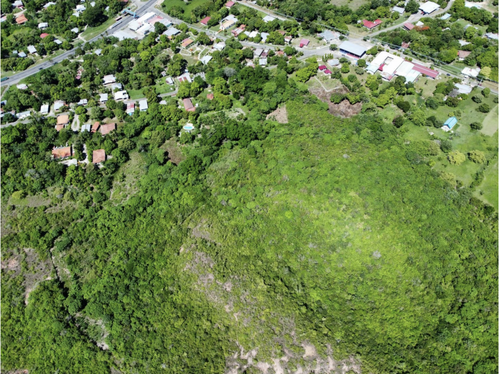 SE VENDE TERRENO 2.1 HECTAREAS EN SAN CARLOS EL HIGO CON ZONAS VERDES - 2