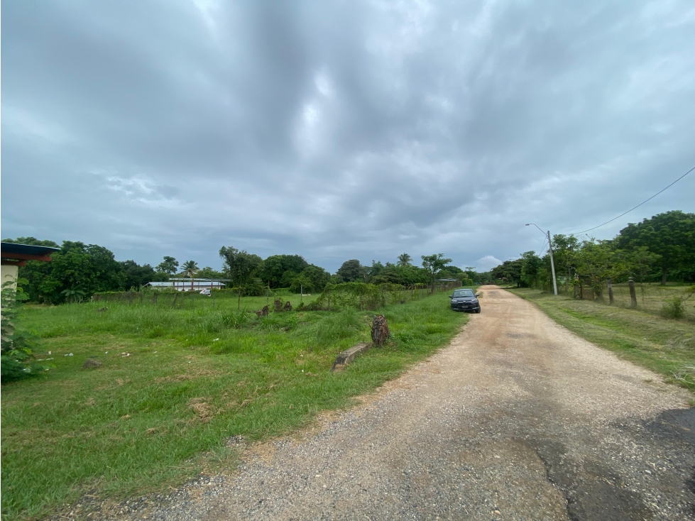 SE VENDE TERRENO PLANO 2146M EN PENONOME FRENTE A VIA INTERAMERICANA - 6
