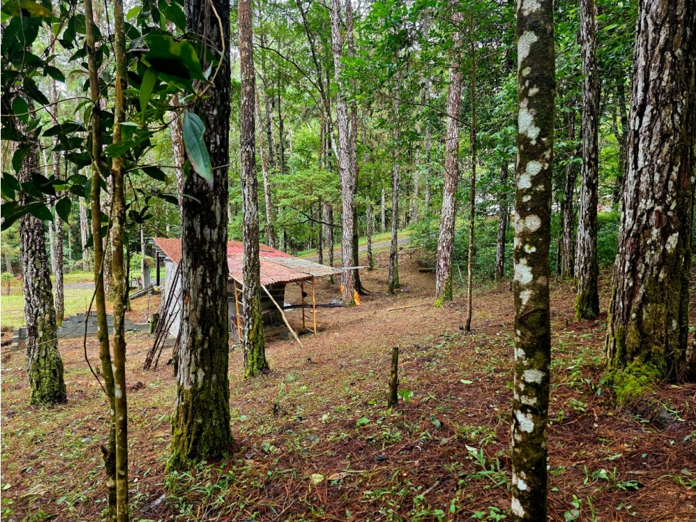 CERRO AZUL / TERRENO SEMI PLANO / 1218M / CLIMA FRIO / FRENTE A VIA — foto 5