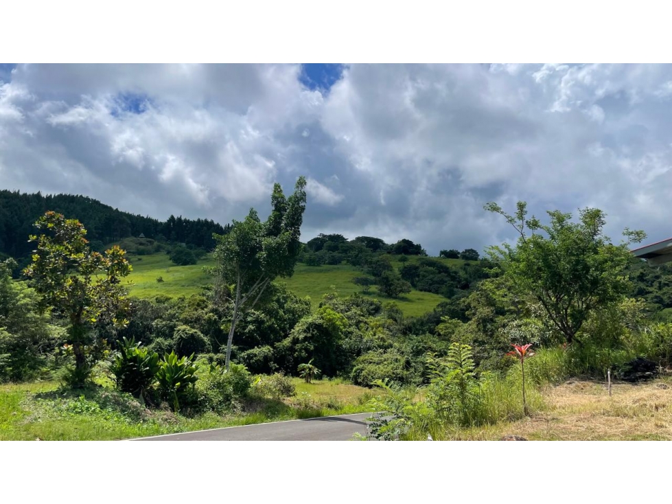 SE VENDE TERRENO EN CHAME SORA 13.9 HECTAREAS CLIMAS FRESCOS — foto 2