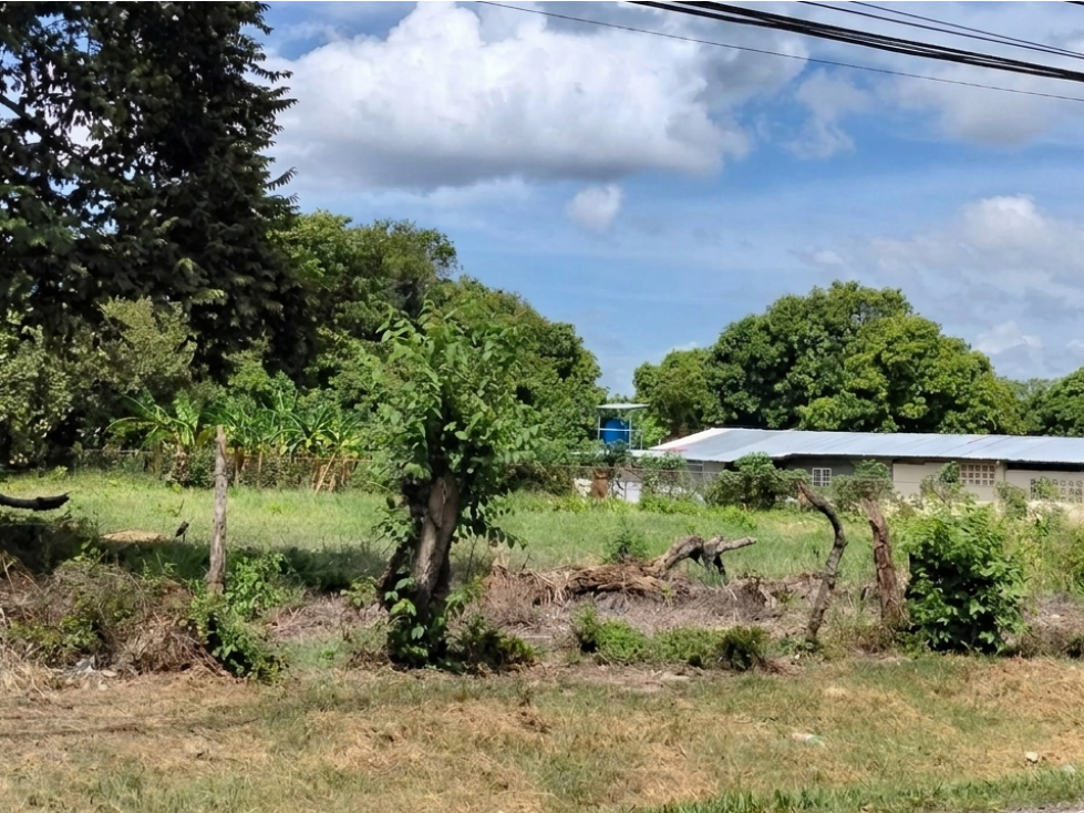 SE VENDE TERRENO 6035 M2 EN COCLE CHURUBE SOBRE VIA ASFALTADA - 4