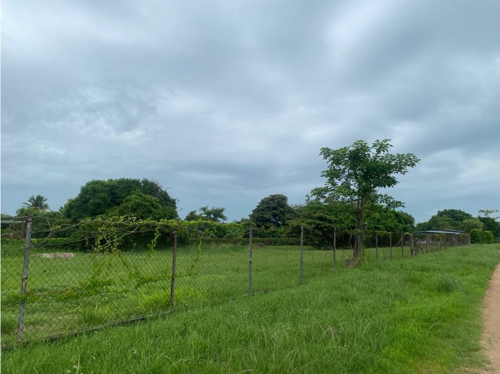 SE VENDE TERRENO PLANO 2146M EN PENONOME FRENTE A VIA INTERAMERICANA - 2