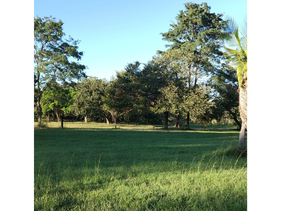 CORONADO / BOULEVARD / 6.8 HECTAREA / 50.00M / TERRENO PARA DESARROLLO