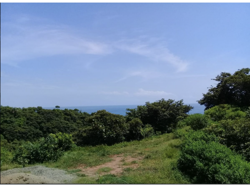 COLON / PLAYA CHIQUITA / 100 HECTAREAS / PARA DESARROLLO FRENTE AL MAR - 2