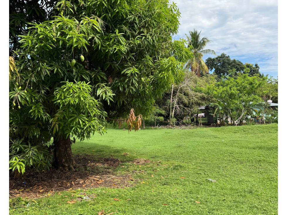 SE VENDE TERRENO EN LAS LAJAS 1286 M2 A MINUTOS DE LA PLAYA
