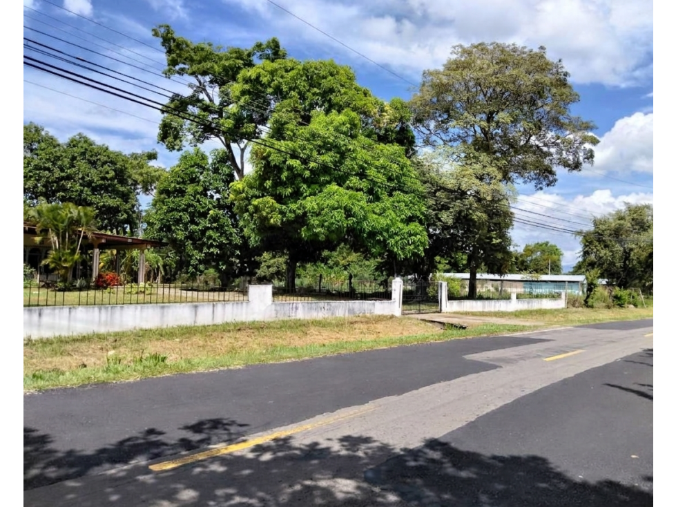 SE VENDE TERRENO 6035 M2 EN COCLE CHURUBE SOBRE VIA ASFALTADA - 3