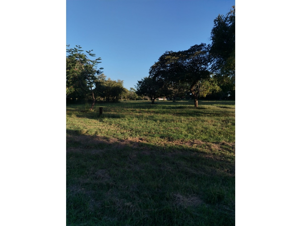 CORONADO / BOULEVARD / 6.8 HECTAREA / 50.00M / TERRENO PARA DESARROLLO — foto 3