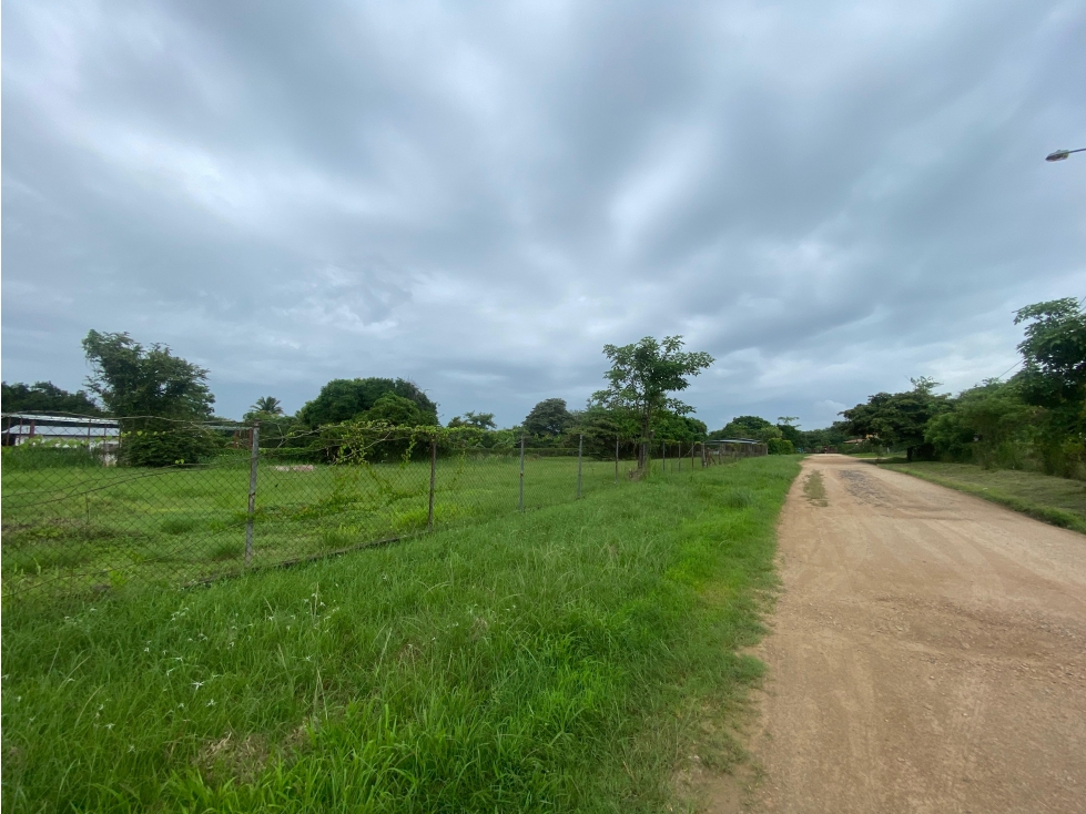 SE VENDE TERRENO PLANO 2146M EN PENONOME FRENTE A VIA INTERAMERICANA - 5
