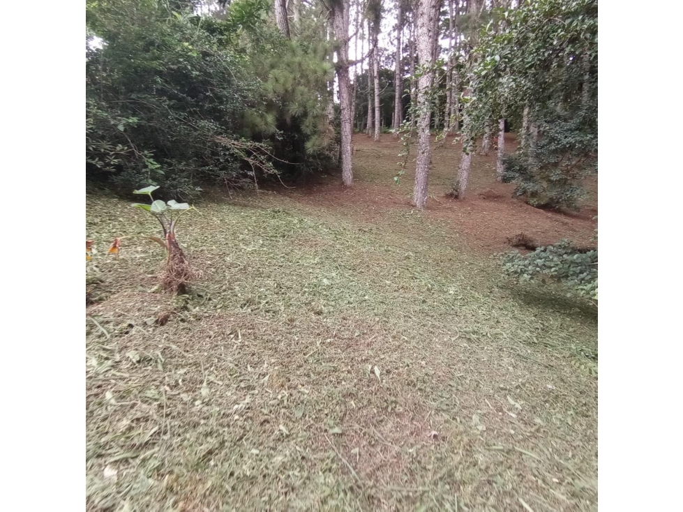 TERRENO / ALTOS DEL MARIA / PIAMONTE / 2432 M / PUNTO ALTO — foto 3