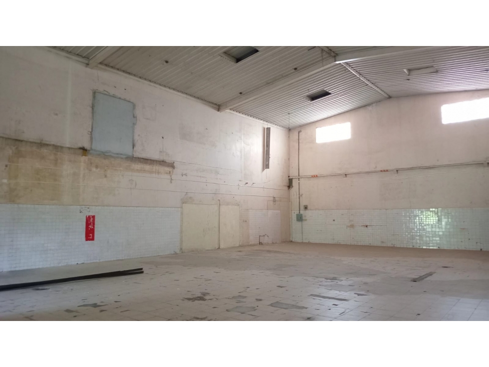 GALERA COMERCIAL / EL PARADOR / PEDREGAL / 268M2 / SOBRE VIA - 4