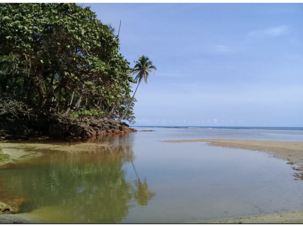 COLON / PLAYA CHIQUITA / 100 HECTAREAS / PARA DESARROLLO FRENTE AL MAR - 4