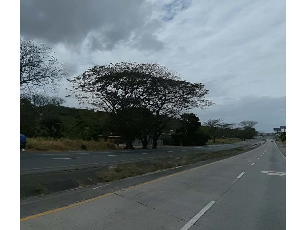 EL CAÑO / COCLE / TERRENO 21 HECTAREAS / CERCA DE INTERAMERICANA - 3