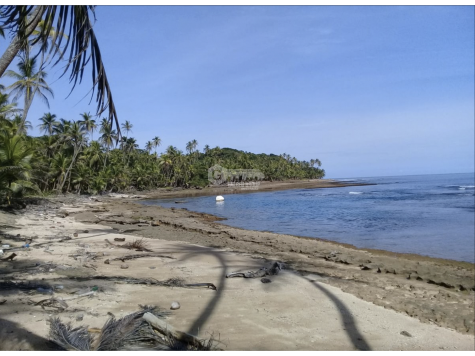 COLON / PLAYA CHIQUITA / 100 HECTAREAS / PARA DESARROLLO FRENTE AL MAR - 1