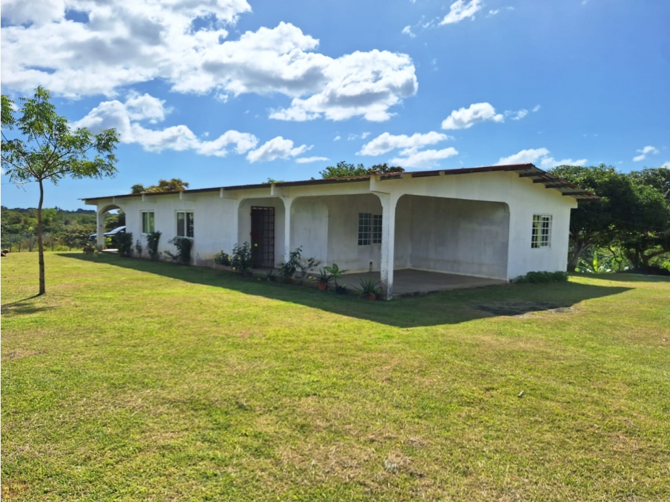 ANTON / EL RETIRO / 8.5 HECTÁREA / FINCA CON CASA / PARA DESARROLLO - 1