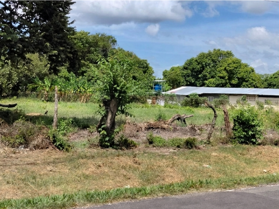 SE VENDE TERRENO 6035 M2 EN COCLE CHURUBE SOBRE VIA ASFALTADA - 6