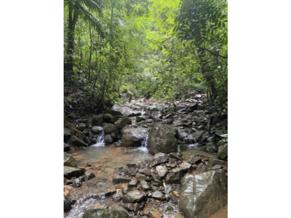 CERRO AZUL / TERRENO / 55 HECATREAS / BOSQUE / RIO / QUEBRADAS — foto 3