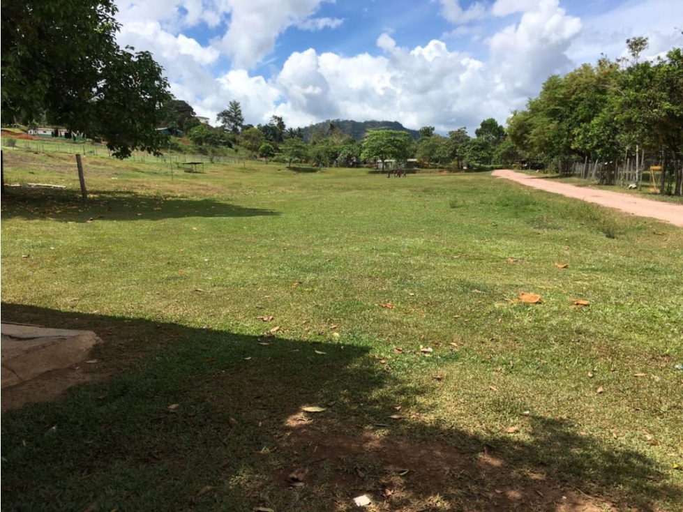 COCLE / PENONOME / 146 HECTAREAS / FINCA GANADERA / RIOS / QUEBRADAS