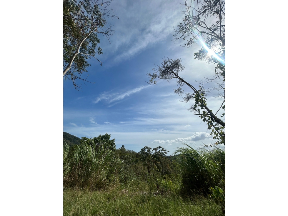 TERRENO / ARRAIJAN / BIQUE / 3 HECTAREAS / POZO DE AGUA — foto 6