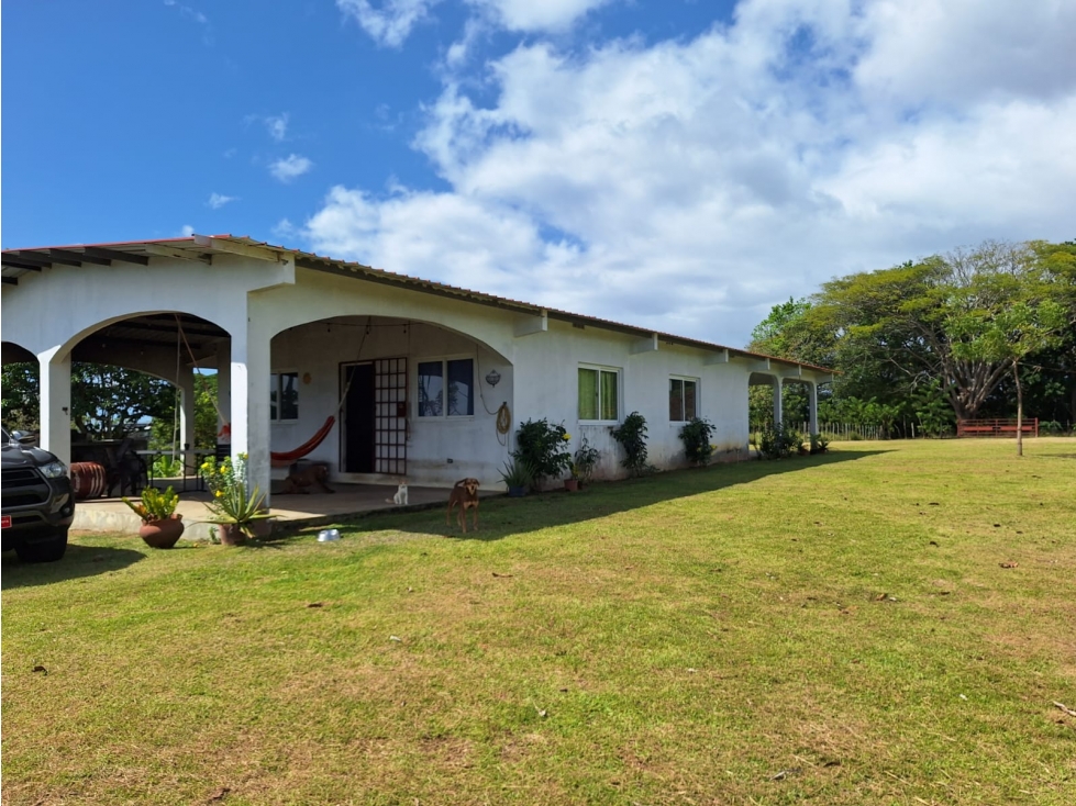 ANTON / EL RETIRO / 8.5 HECTÁREA / FINCA CON CASA / PARA DESARROLLO - 6