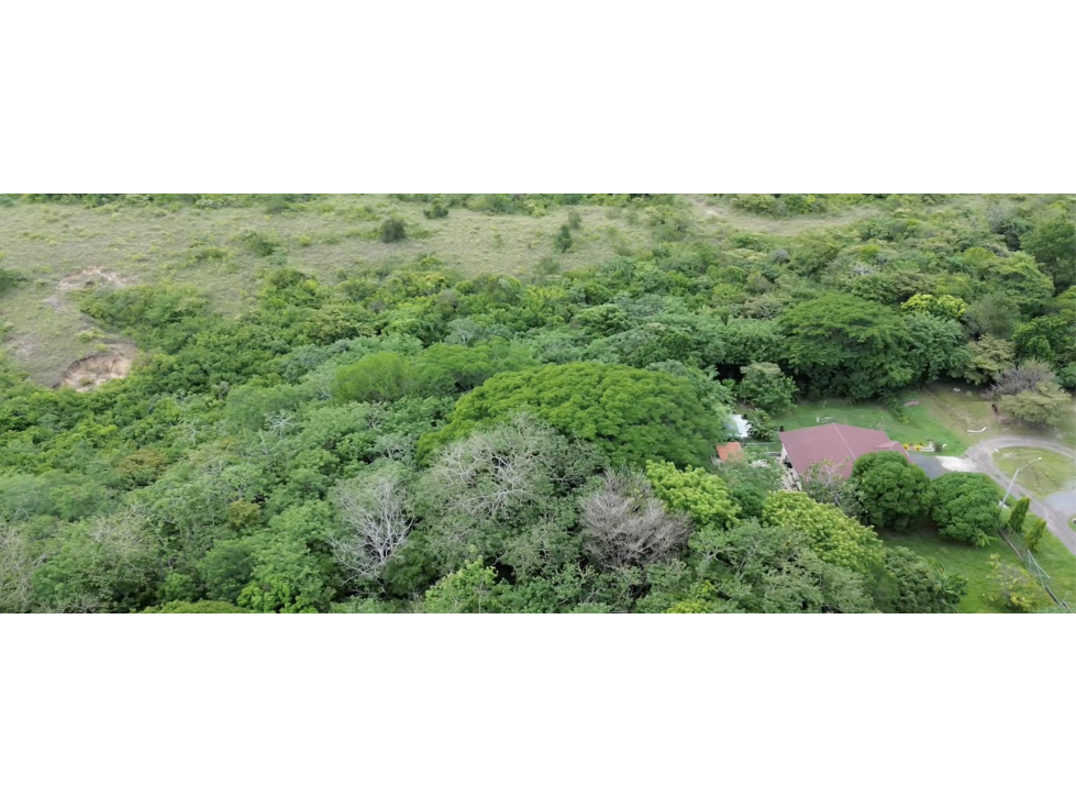 SE VENDE TERRENO 7.9 HECTAREAS EN PENONOME MIRAFLORES CON CASA - 5