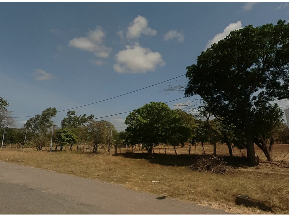 COCLE / NATA / EL ROBLAR / TERRENO 1.6 HECTAREA / SOBRE INTERAMERICANA - 2