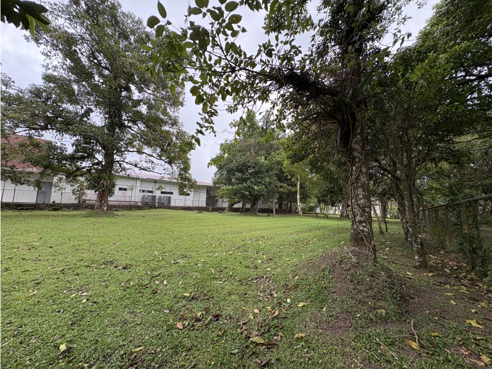 COCLE / EL VALLE / ANTON / 2086 M / TOPOGRAFIA PLANA / AG - 3