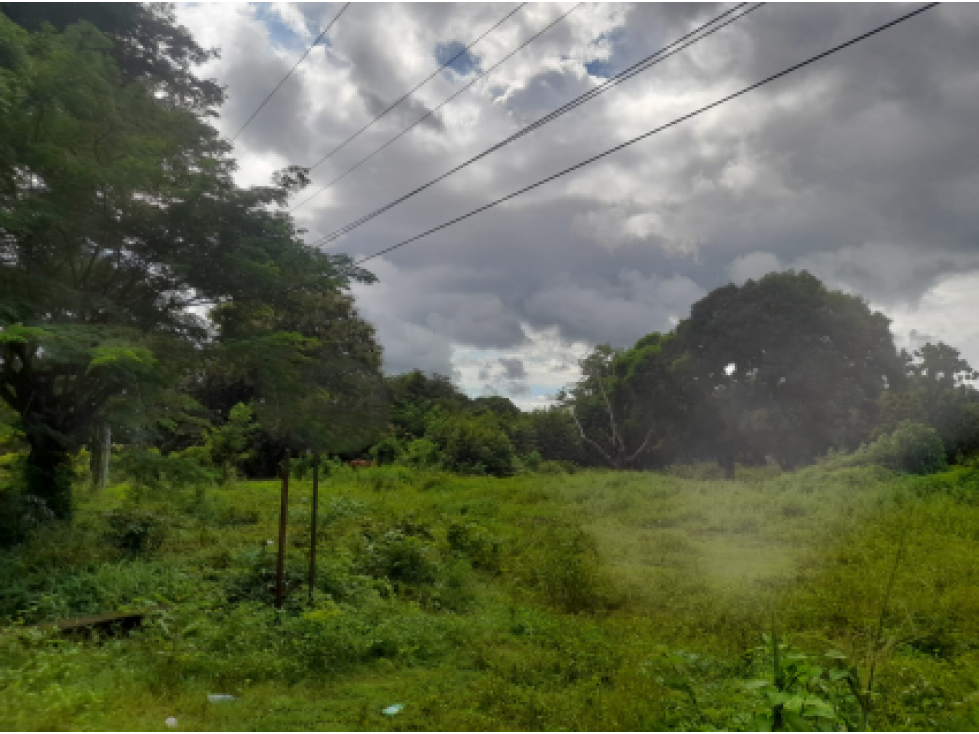 COCLE / RIO HATO / 5606M / SOBRE LA VIA / TOPOGRAFIA PLANA / AG - 2