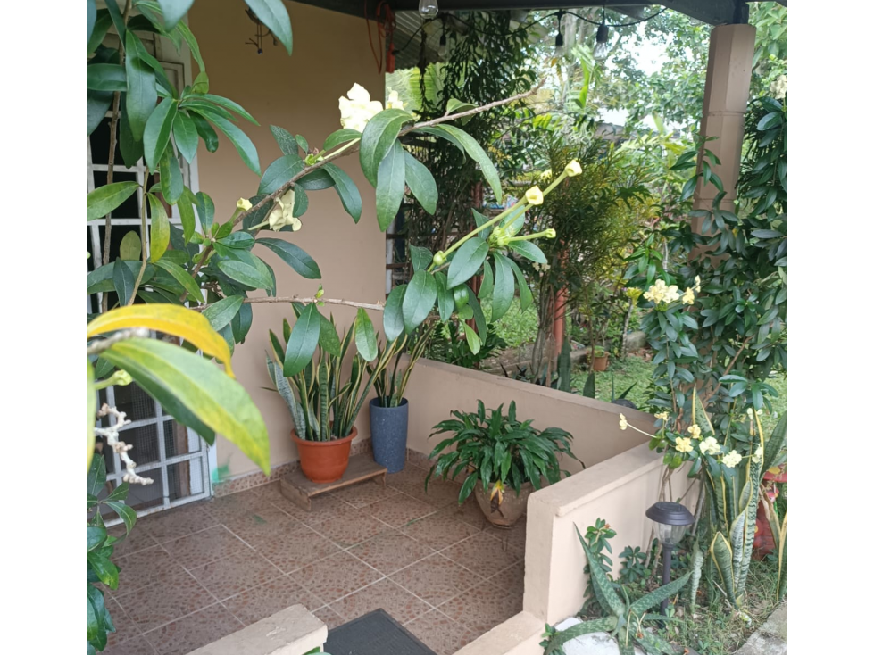SE VENDE CASA EN CHORRERA 270 M2 CON TERRAZA Y ZONAS VERDES — foto 6