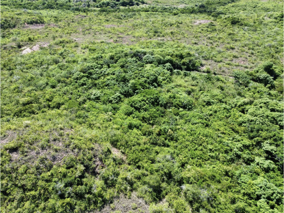 SE VENDE TERRENO 2.1 HECTAREAS EN SAN CARLOS EL HIGO CON ZONAS VERDES - 1