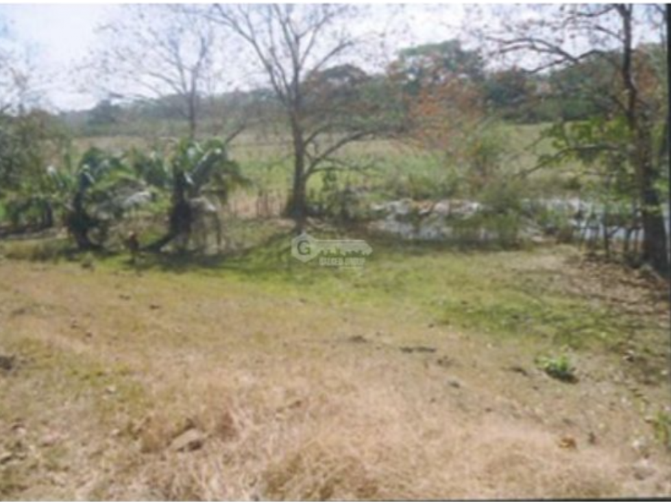 SE VENDE FINCA 1.6 HECTAREAS EN CHEPO LOMA DEL RIO CON PISCINA - 1
