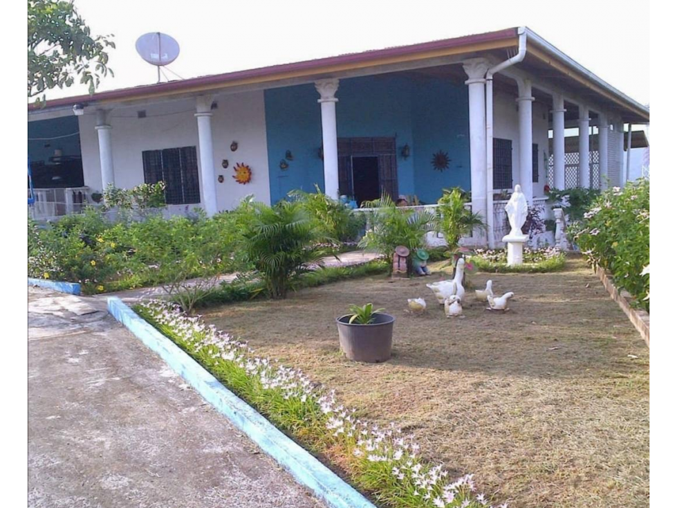 CHEPO / LA HIGUERA / 2396M2 / 4 HAB / BOHIO / BAR / PISCINA / TERRAZA - 1