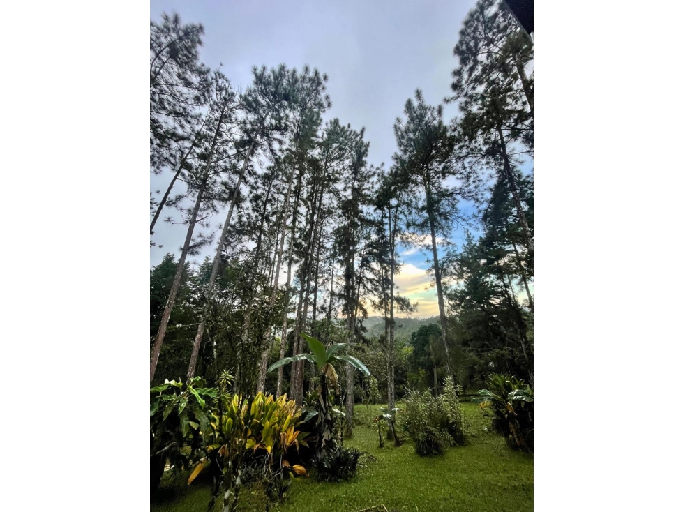 CERRO AZUL / EL VIGIA / 1700 M2 / AMOBLADO / LINEA BLANCA / CASCADA — foto 4
