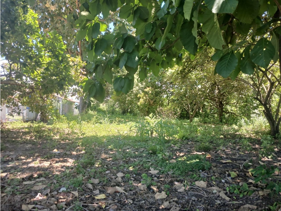 CHAME / CORONADO / TERRENO PLANO / 1000M / CERCA DE PLAYA / AG — foto 5
