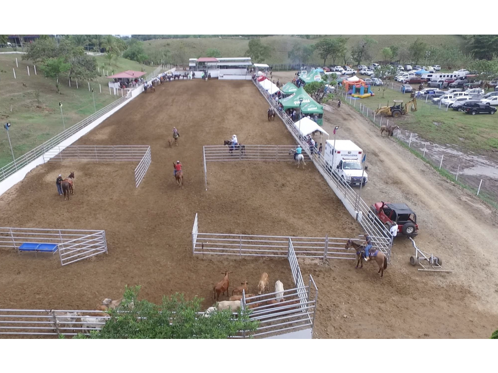 LOMA DEL RIO / CHEPO / 1.6 HECTAREA / ESTABLO Y PISTA GANADERA - 5