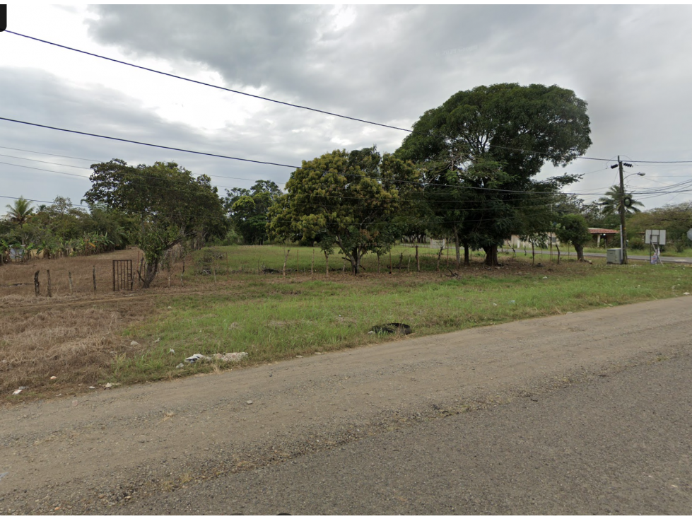 SE VENDE TERRENO DE 1.6 HECTAREAS EN COCLE NATA SOBRE INTERAMERICANA - 3