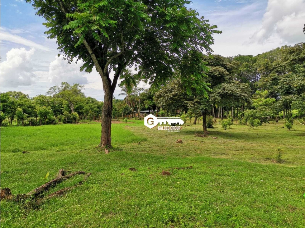CHAME / FINCA EN BEJUCO / 10 HECTAREAS / CERCA DE LA INTERAMERICANA