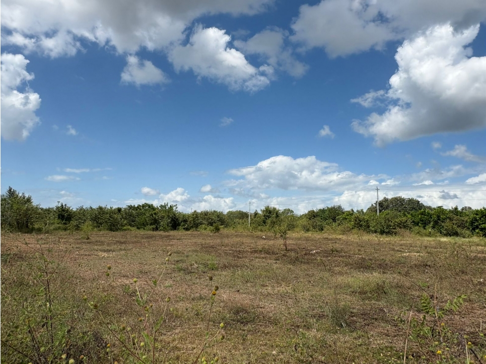 COCLE / RIO HATO / 110 HECTAREAS / SOBRE LA VIA / USO COMERCIAL / AG - 1