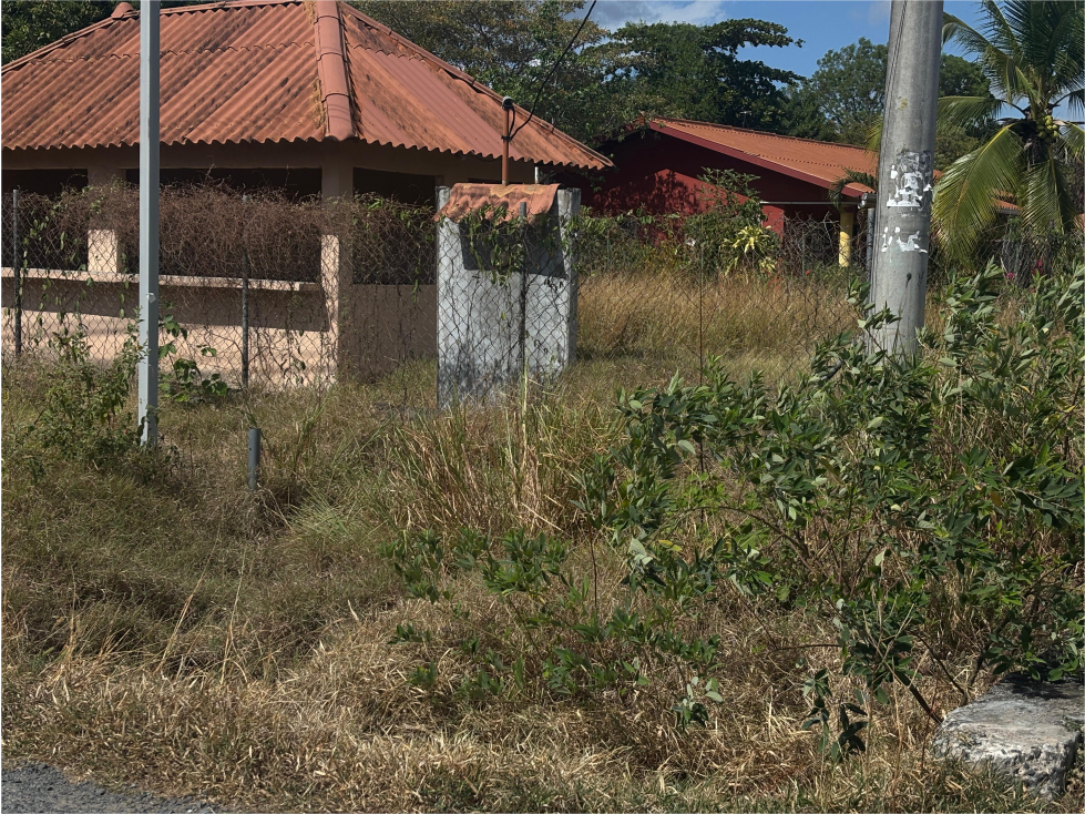 LAS LAJAS / CHAME / 1040 M / TERRENO PLANO / BOHIO / CERCA DE PLAYA AG — foto 4