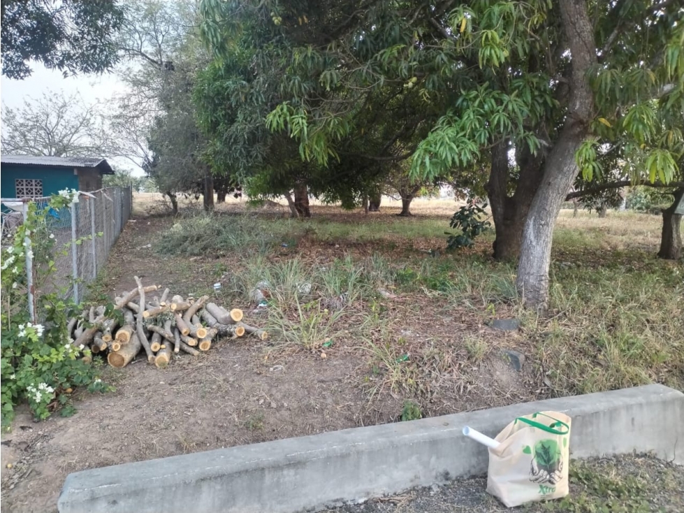 SE VENDE TERRENO EN COCLE 2400 M2 PLANO VIA ASFALTADA - 1