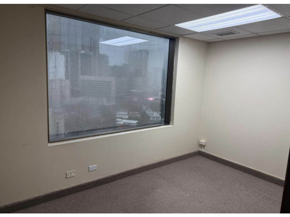 OFICINA / MARBELLA / WORLD TRADE CENTER / 109M / 1 BAÑO / DIVISIONES - 6