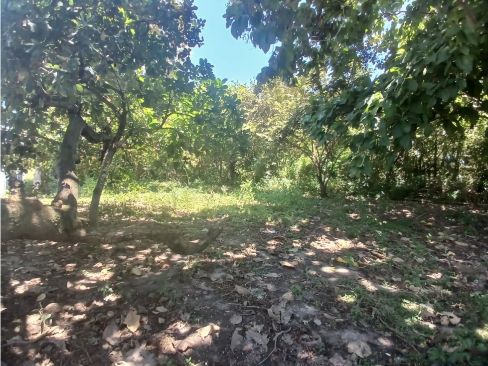CHAME / CORONADO / TERRENO PLANO / 1000M / CERCA DE PLAYA / AG — foto 6