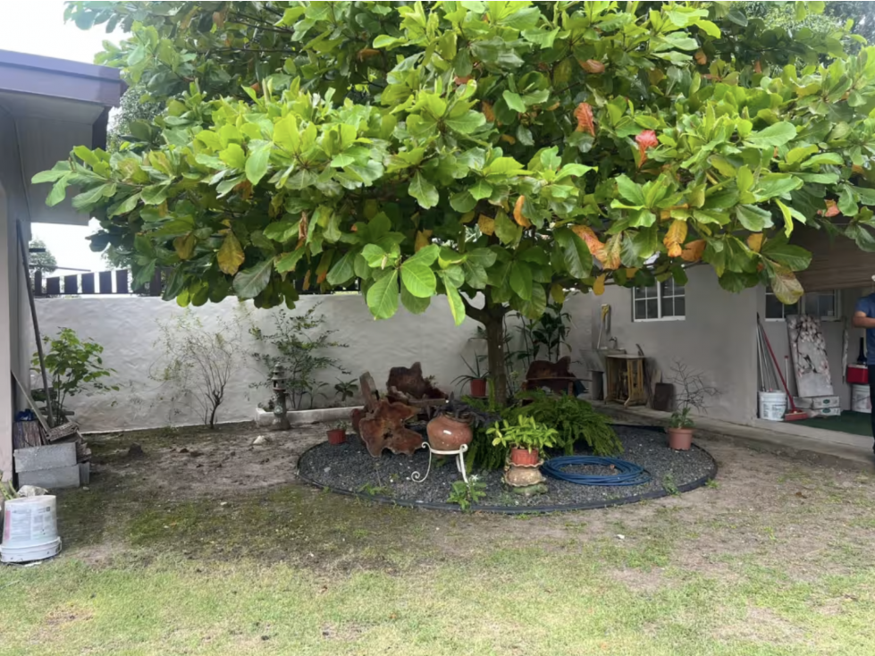 BEJUCO / CHAME / 1748M / TERRENO CON 2 CASAS / CERCA DE PLAYA — foto 4