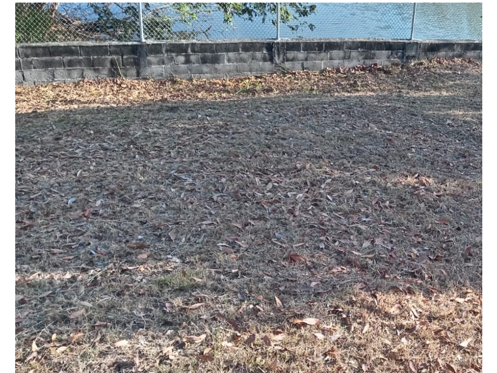 SAN CARLOS / LAGOMAR / 1600M / TERRENO CON GAZEBO / FRENTE AL LAGO — foto 4