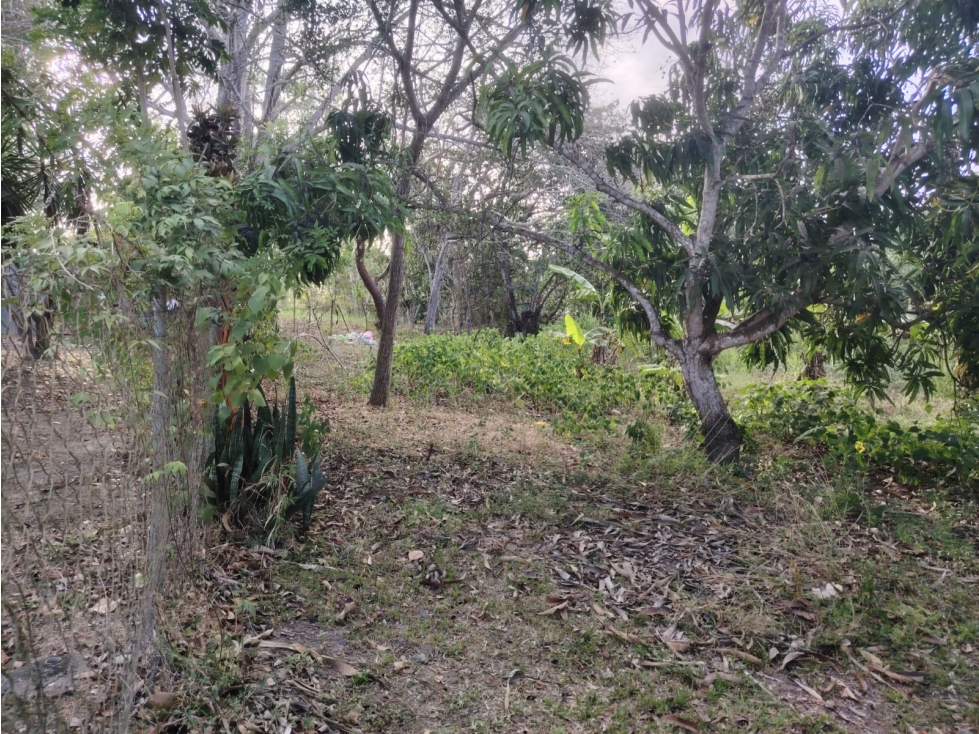 COCLE / RIO HATO /1021M / TOTALMENTE PLANO / IDEAL PARA INVERSION - 2