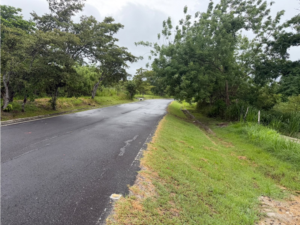 COSTA ESMERALDA / SAN CARLOS / 1000M2 / PLANO / FRENTE A VIA — foto 4