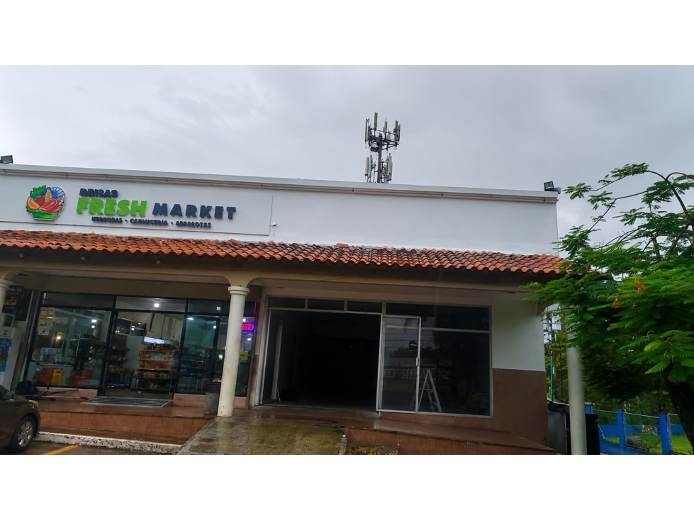 LOCAL COMERCIAL / BRISAS DEL GOLF / 175M / 2 BAÑOS / PLANTA BAJA — foto 4
