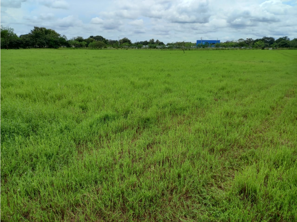 SE VENDE TERRENO COMERCIAL EN LA MESA DE VERAGUAS VIA INTERAMERICANA - 4