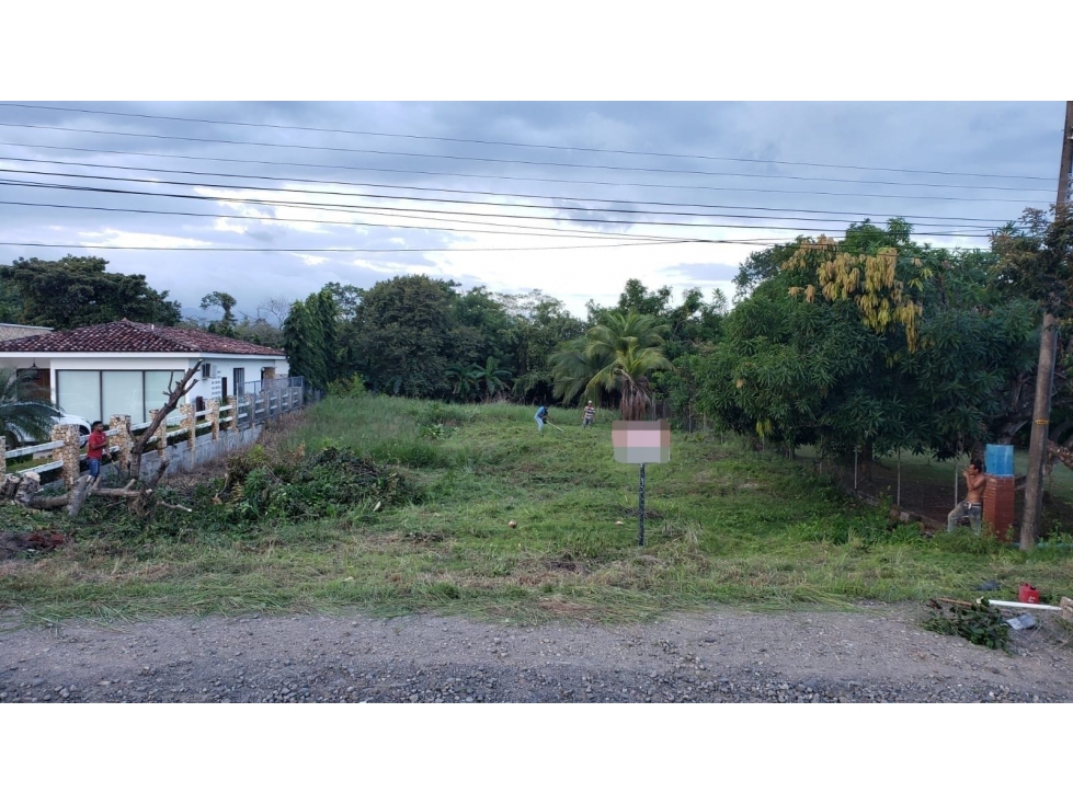 TERRENO / CORONADO / AVE. BOULEVARD / 1000m2 / NEGOCIABLE
