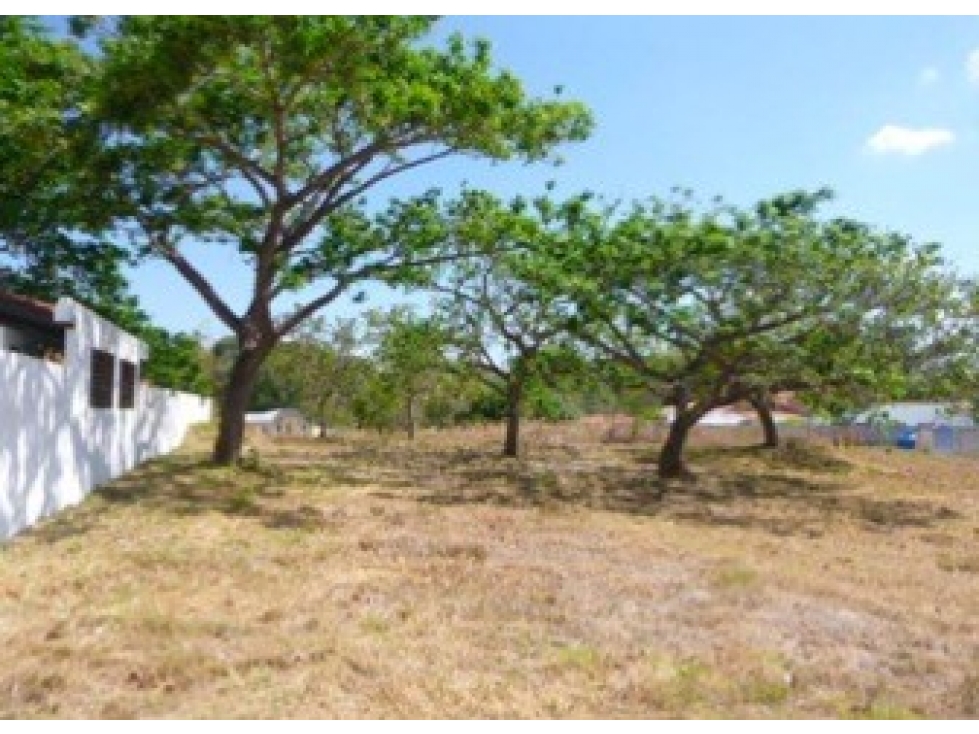 CORONADO / ALCAZAR PARK / 1100 M2 / TERRENO / SOBRE VIA ASFALTADA — foto 4